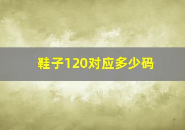 鞋子120对应多少码