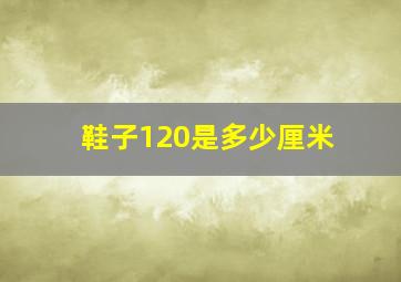 鞋子120是多少厘米