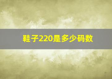 鞋子220是多少码数