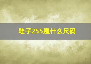 鞋子255是什么尺码