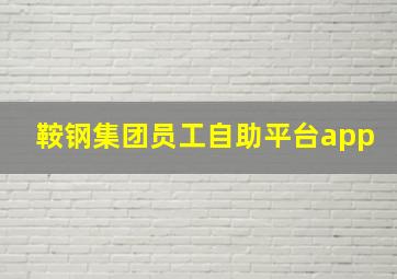 鞍钢集团员工自助平台app