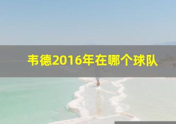 韦德2016年在哪个球队