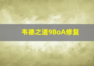 韦德之道9BoA修复