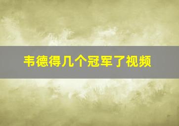 韦德得几个冠军了视频