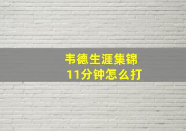 韦德生涯集锦11分钟怎么打