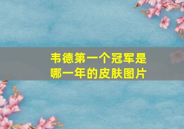 韦德第一个冠军是哪一年的皮肤图片