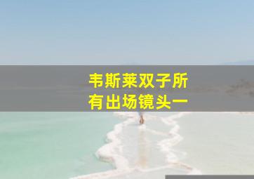 韦斯莱双子所有出场镜头一