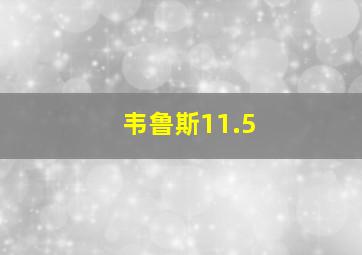 韦鲁斯11.5