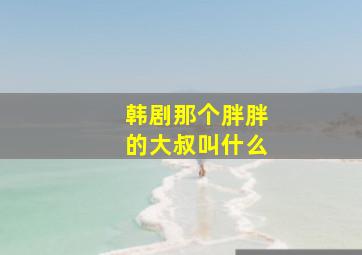 韩剧那个胖胖的大叔叫什么