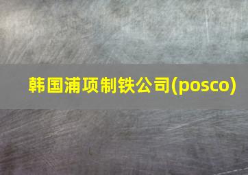 韩国浦项制铁公司(posco)