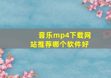 音乐mp4下载网站推荐哪个软件好