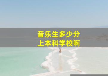 音乐生多少分上本科学校啊