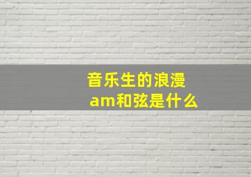 音乐生的浪漫am和弦是什么