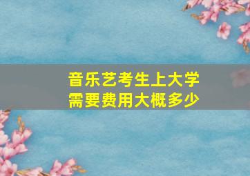 音乐艺考生上大学需要费用大概多少