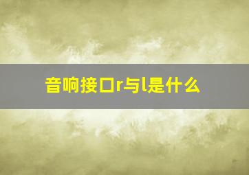 音响接口r与l是什么