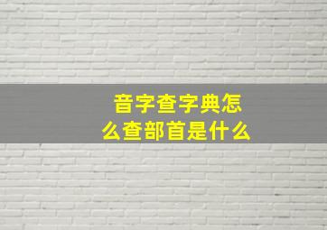 音字查字典怎么查部首是什么