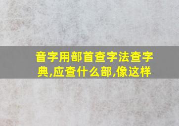 音字用部首查字法查字典,应查什么部,像这样