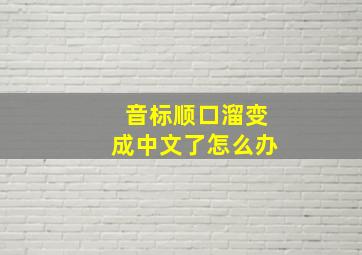 音标顺口溜变成中文了怎么办