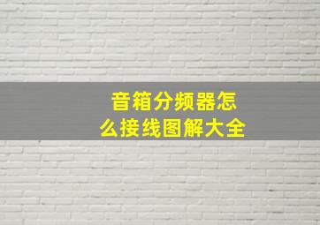 音箱分频器怎么接线图解大全