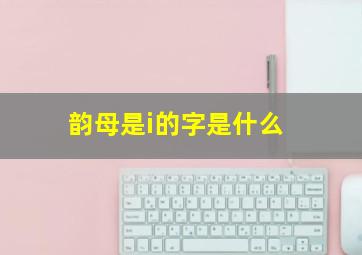 韵母是i的字是什么