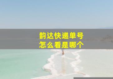 韵达快递单号怎么看是哪个