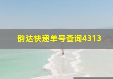 韵达快递单号查询4313