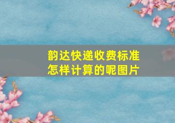 韵达快递收费标准怎样计算的呢图片