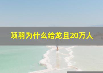 项羽为什么给龙且20万人