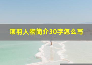 项羽人物简介30字怎么写