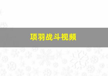 项羽战斗视频