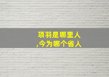 项羽是哪里人,今为哪个省人