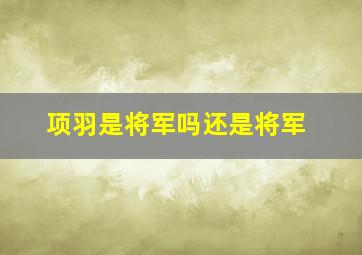 项羽是将军吗还是将军