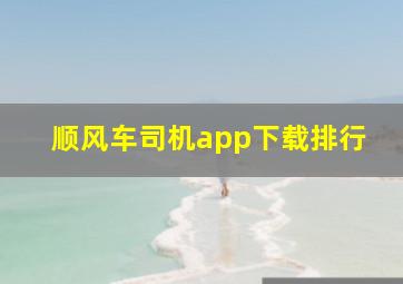 顺风车司机app下载排行