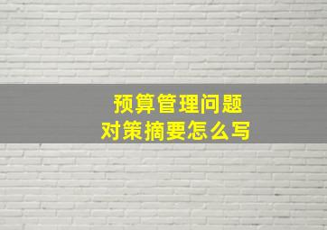 预算管理问题对策摘要怎么写