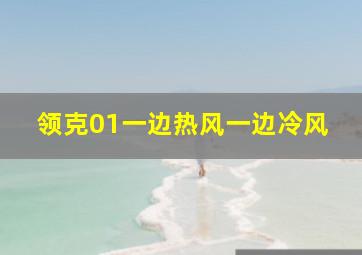 领克01一边热风一边冷风