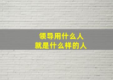 领导用什么人就是什么样的人