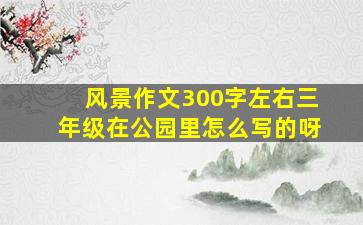 风景作文300字左右三年级在公园里怎么写的呀