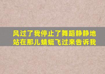 风过了我停止了舞蹈静静地站在那儿蜻蜓飞过来告诉我