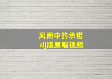 风雨中的承诺dj版原唱视频