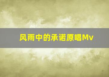 风雨中的承诺原唱Mv