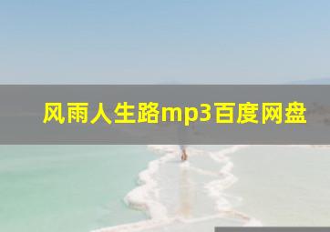 风雨人生路mp3百度网盘