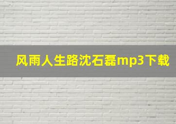 风雨人生路沈石磊mp3下载