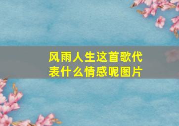 风雨人生这首歌代表什么情感呢图片