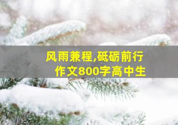 风雨兼程,砥砺前行作文800字高中生