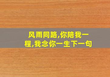 风雨同路,你陪我一程,我念你一生下一句