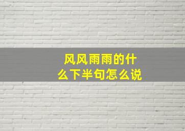 风风雨雨的什么下半句怎么说