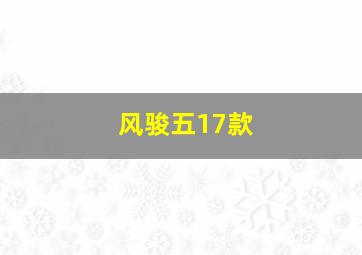 风骏五17款