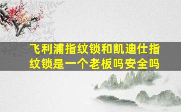 飞利浦指纹锁和凯迪仕指纹锁是一个老板吗安全吗