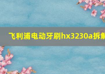 飞利浦电动牙刷hx3230a拆解