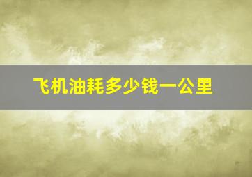 飞机油耗多少钱一公里